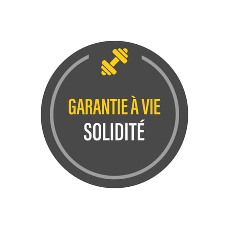 thumbnai_brand-image_logo-garantie_solidite_t-rex