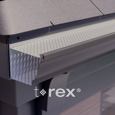 thumbnail_VIDEO_t-rex-0